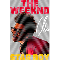 idol singer-GS  1313